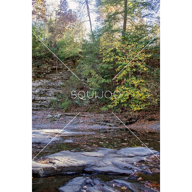 Fall Themed Digital Backdrops | Squijoo.com
