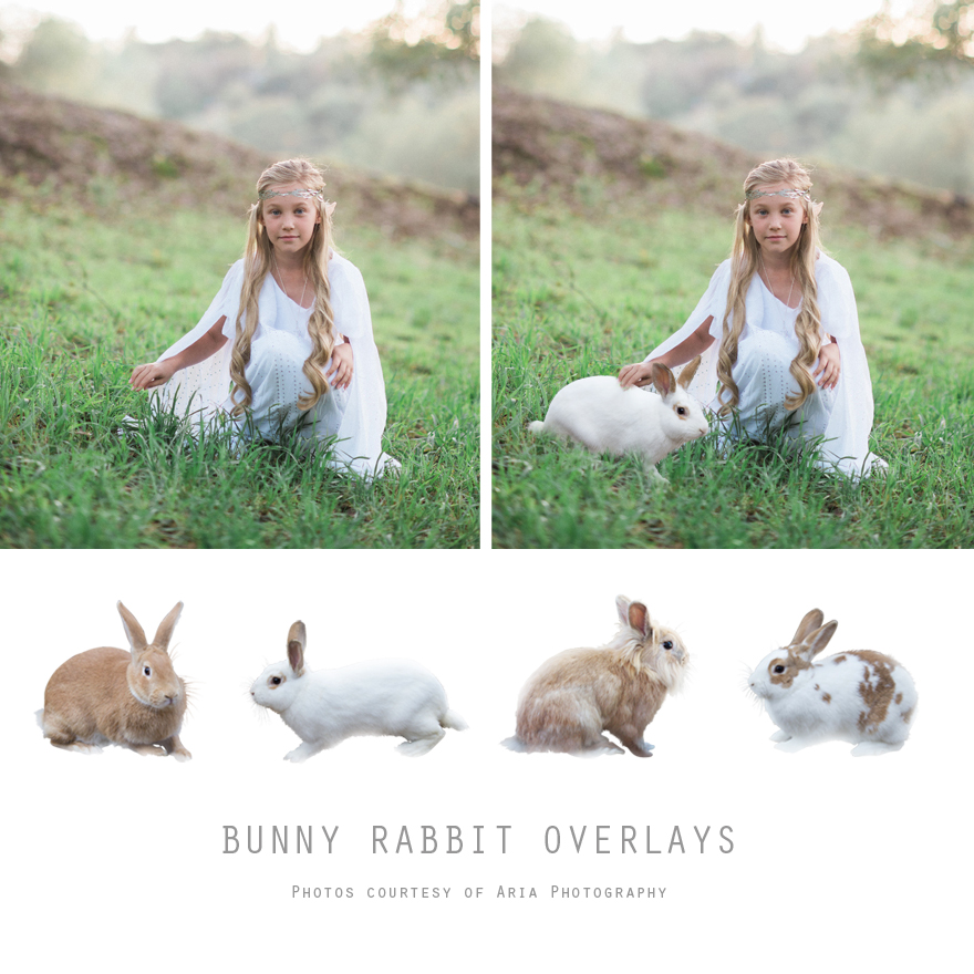 Bunny Rabbit Overlays – 