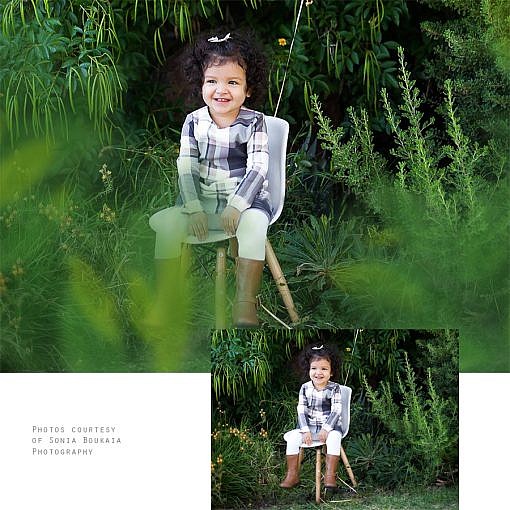 Squijoo Greenery Branch Overlays | Squijoo.com