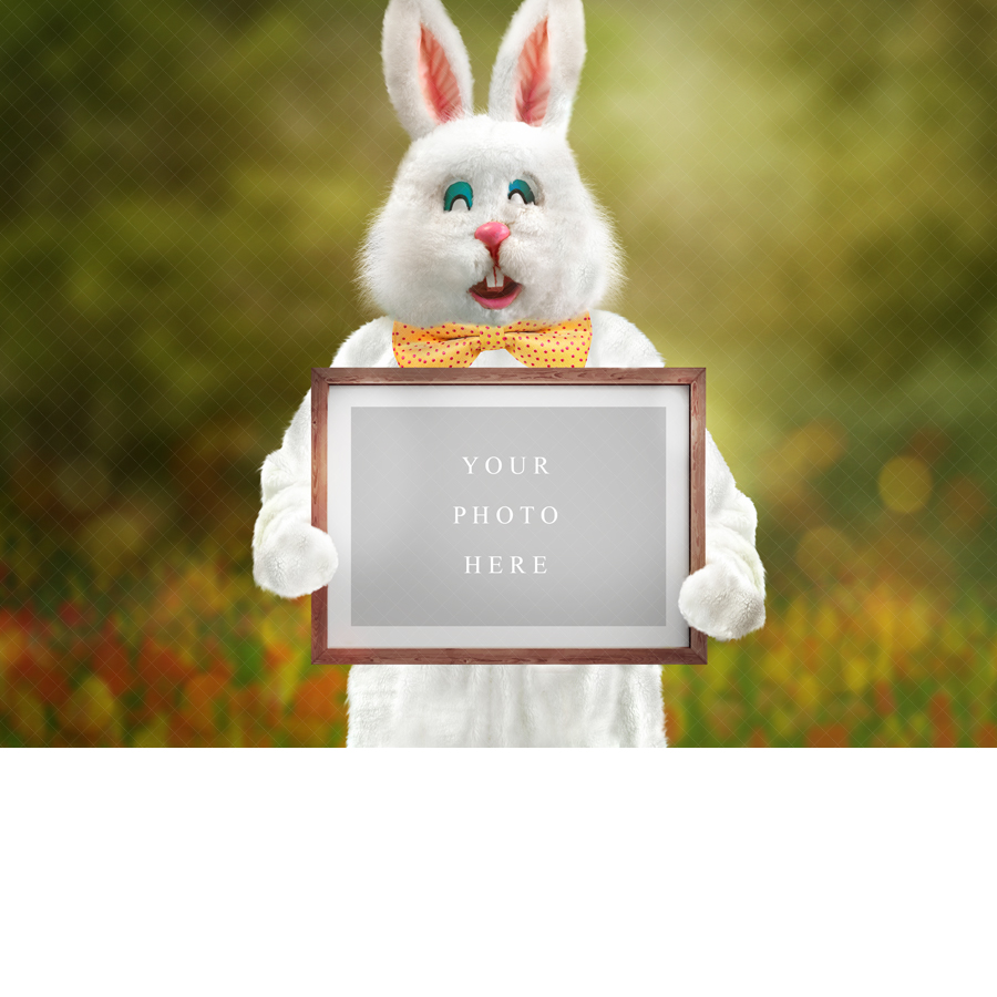Easter Bunny Holding Frame Digital Backdrop | Squijoo.com