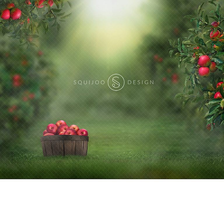 Dreamy Apple Orchard Digital Backdrop – Squijoo.com