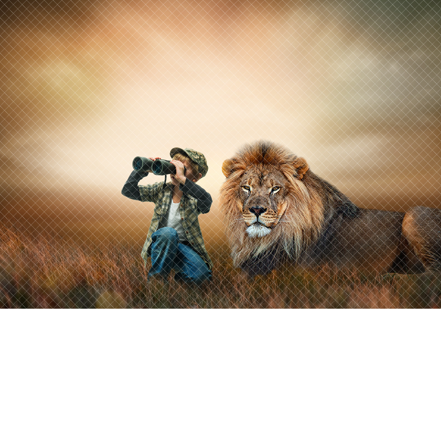 Lion Dreamy Field Digital Backdrop – 