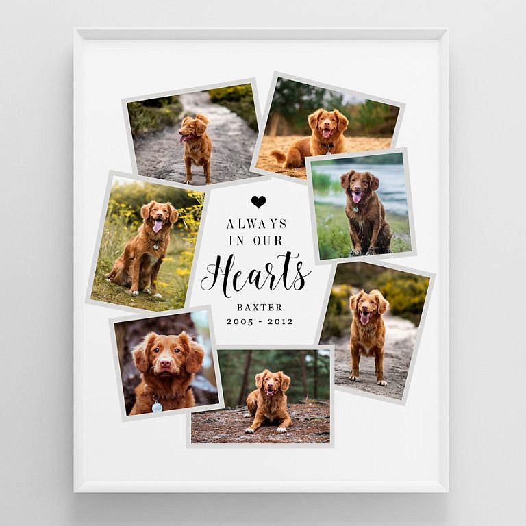 Pet Memorial – Bone Border 