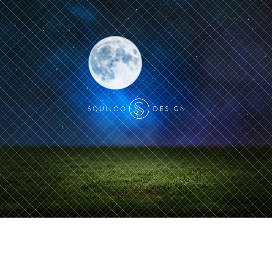 Moonlit Night Digital Backdrop – Grass Field – 