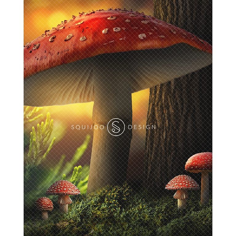 Giant Forest Mushroom Digital Backdrop – Squijoo.com