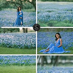 Summer Bluebonnet Digital Backdrops