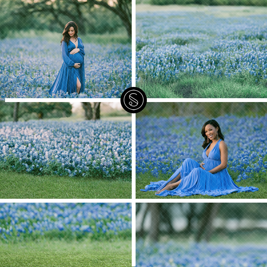 Summer Bluebonnet Digital Backdrops