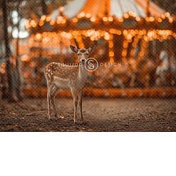 Fall Digital Backdrop - Deer Carnival