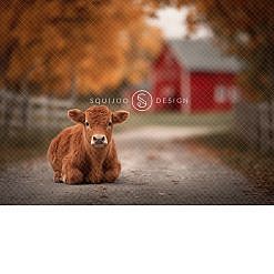 Fall Digital Backdrop - Highland Cow