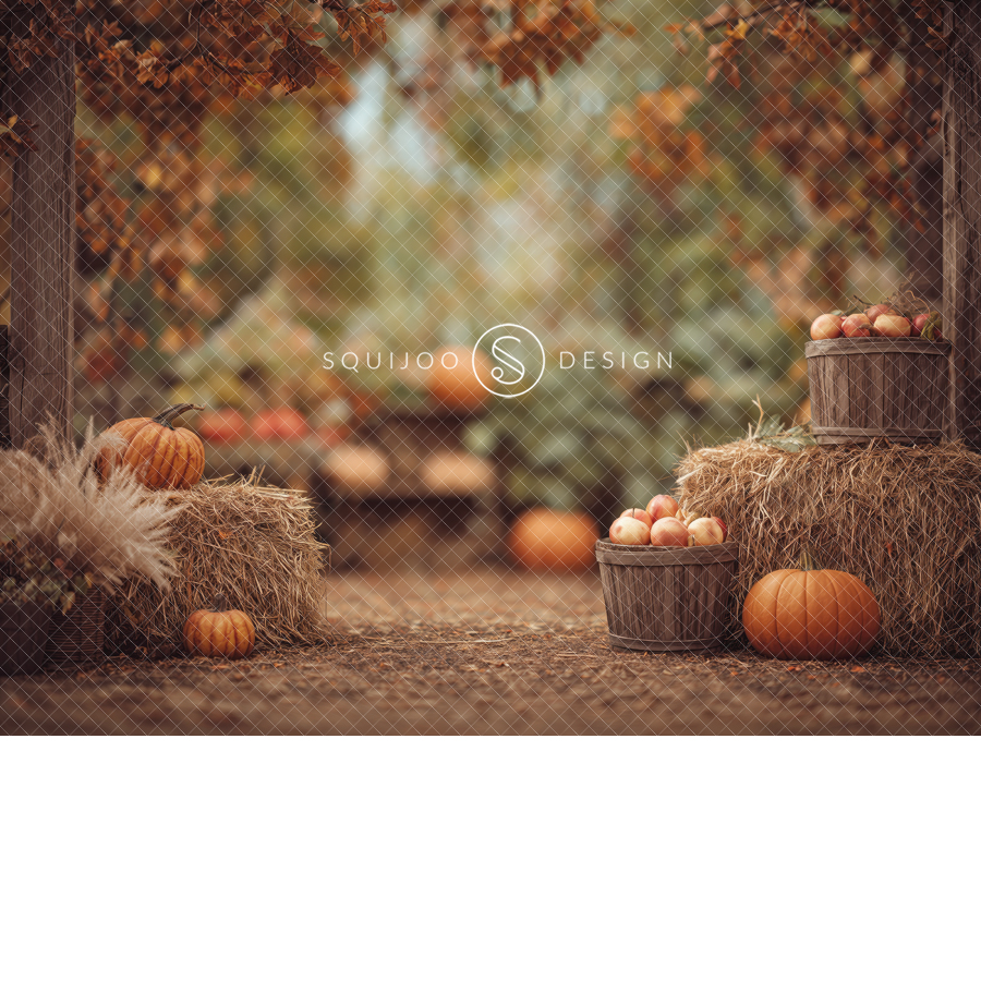 Fall Digital Backdrop - Pumpkin Patch