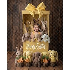 Easter Digital Backdrop - Bunny Box