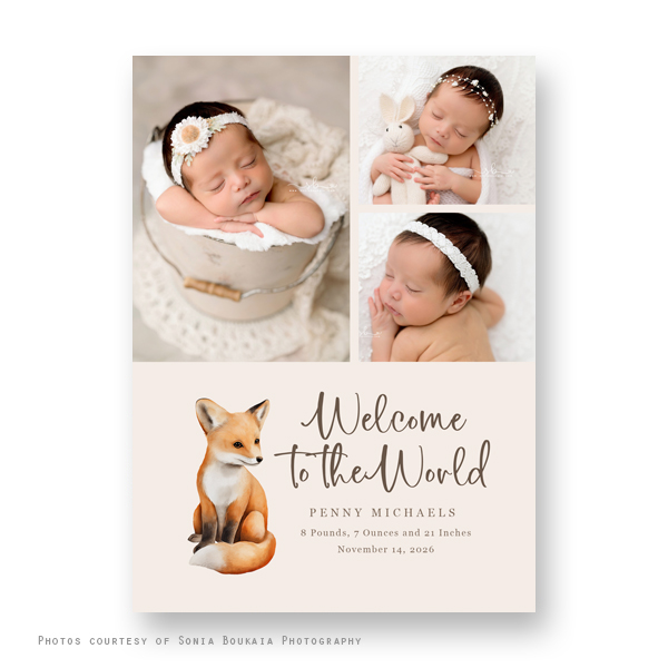 Birth Announcement - Fox Joy
