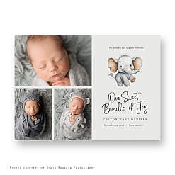 Birth Announcement - Elephant Joy