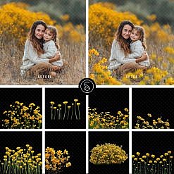 Pant Digital Overlays - Yellow Flowers