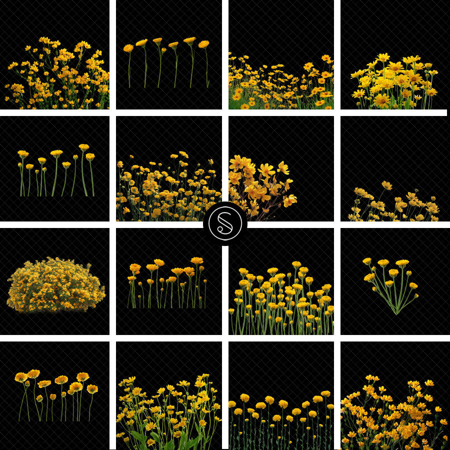 Pant Digital Overlays - Yellow Flowers - Image 2