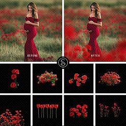 Pant Digital Overlays - Red Flowers