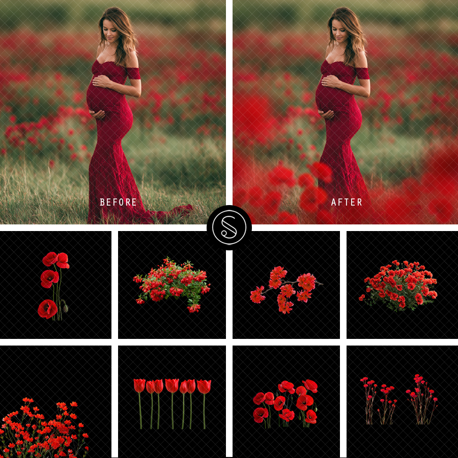 Pant Digital Overlays - Red Flowers