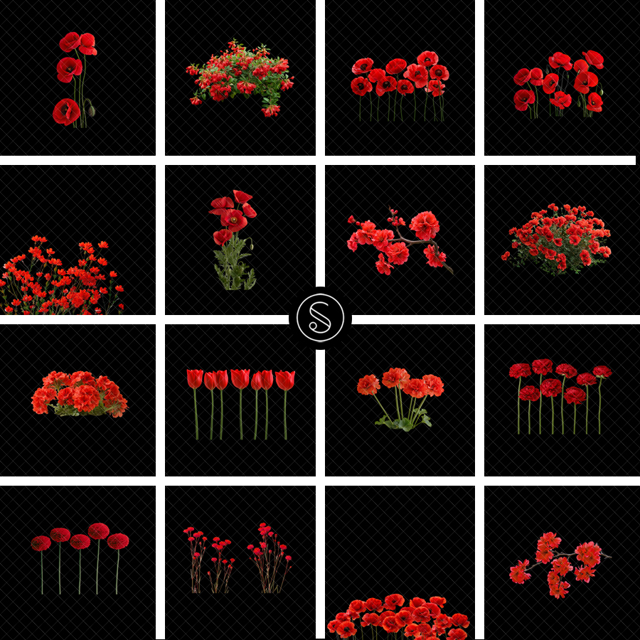 Pant Digital Overlays - Red Flowers - Image 2