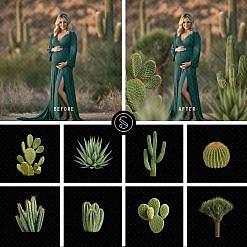 Pant Digital Overlays - Cactus