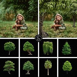 Plant Digital Overlays - Green Trees
