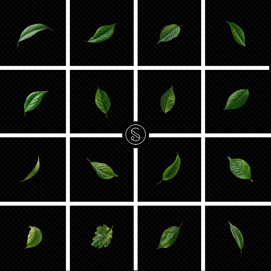 Plant Digital Overlays - Green Falling Leaves - Image 2