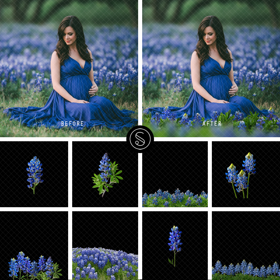 Plant Digital Overlays - Bluebonnet