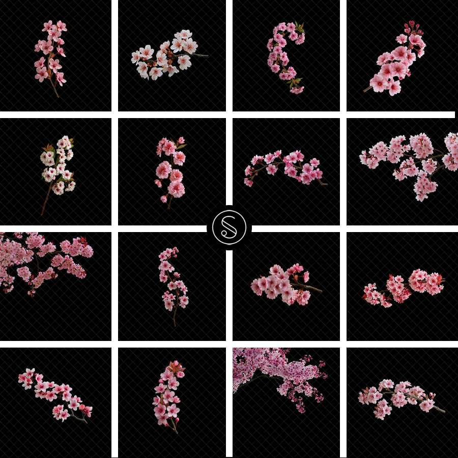 Plant Digital Overlays - Cherry Blossom - Image 2
