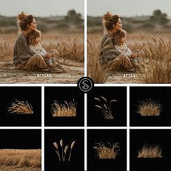 Plant Digital Overlays - Dry Grass