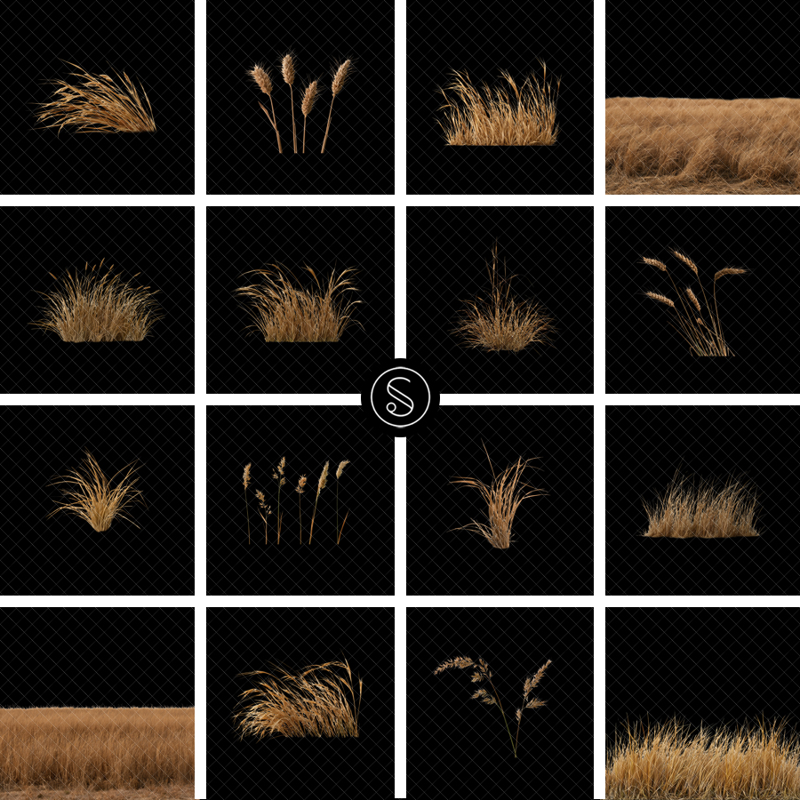Plant Digital Overlays - Dry Grass - Image 2