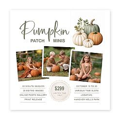 Fall Marketing Board - Pumpkin Patch