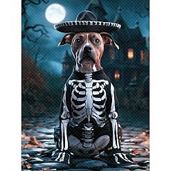 Halloween Digital Backdrop - Pet Skeleton