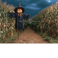 Halloween Digital Backdrop - Corn Scare
