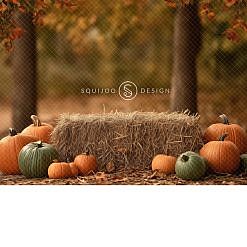 Halloween Digital Backdrop - Patch Joy