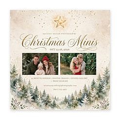 Christmas Marketing Board - Star Forest