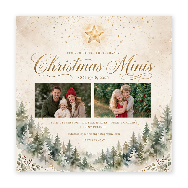 Christmas Marketing Board - Star Forest